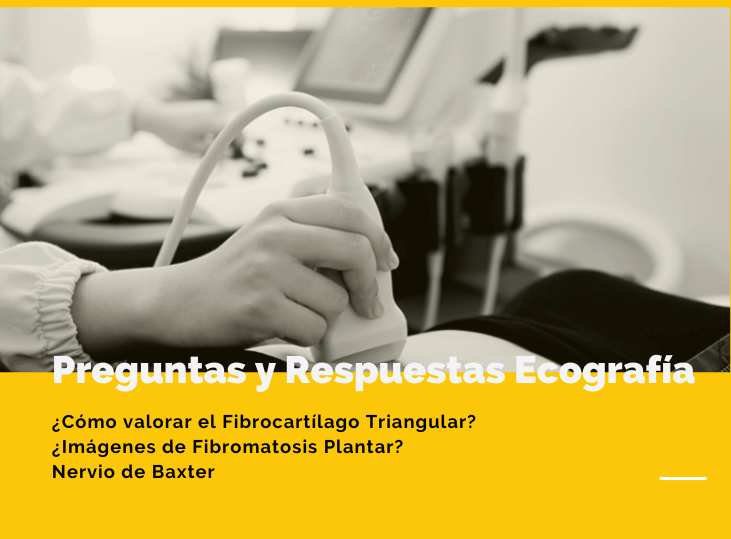 preguntas-y-respuestas-ecografia-3